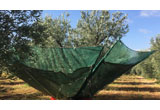 la raccolta delle olive con il metodono della scuotitura